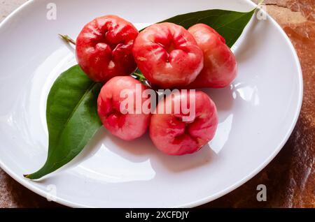 Bell Apple Base Stockfoto