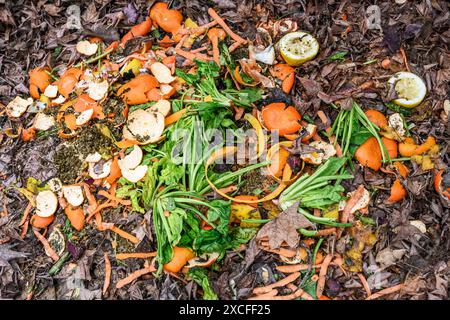 Küchenabfälle und trockene Blätter im Kompoststapel Stockfoto