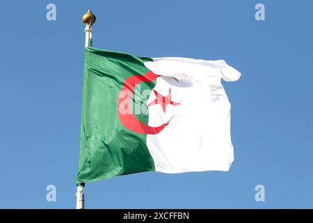 Sankt Petersburg, Russland. Juni 2024. Die Flagge der Republik Algerien auf der Tribüne der Flaggen der teilnehmenden Länder im Rahmen des Internationalen Wirtschaftsforums von St. Petersburg 2024 (SPIEF 2024). (Foto: Maksim Konstantinov/SOPA Images/SIPA USA) Credit: SIPA USA/Alamy Live News Stockfoto