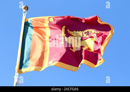 Sankt Petersburg, Russland. Juni 2024. Die Flagge der Demokratischen Sozialistischen Republik Sri Lanka auf der Tribüne der Flaggen der teilnehmenden Länder im Rahmen des Internationalen Wirtschaftsforums von St. Petersburg 2024 (SPIEF 2024). Quelle: SOPA Images Limited/Alamy Live News Stockfoto