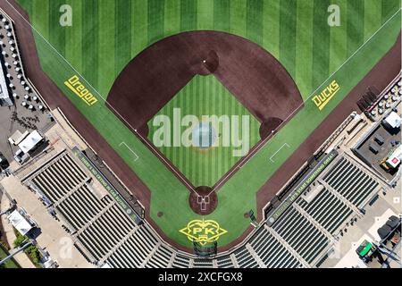 Eine allgemeine Gesamtansicht des PK Field Baseball Stadions auf dem Campus der University of Oregon, Sonntag, 9. Juni 2024, in Eugene, Erz. Stockfoto