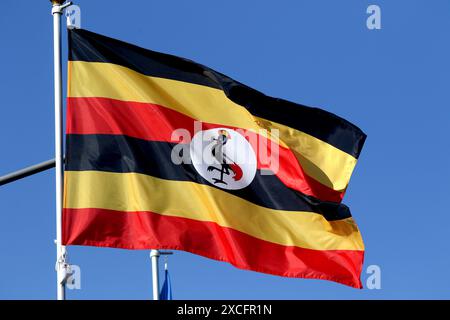 Sankt Petersburg, Russland. Juni 2024. Die Flagge der Republik Uganda auf der Tribüne der Flaggen der teilnehmenden Länder im Rahmen des Internationalen Wirtschaftsforums von St. Petersburg 2024 (SPIEF 2024). Quelle: SOPA Images Limited/Alamy Live News Stockfoto