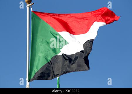 Sankt Petersburg, Russland. Juni 2024. Die Flagge der Republik Sudan auf der Tribüne der Flaggen der teilnehmenden Länder im Rahmen des Internationalen Wirtschaftsforums von St. Petersburg 2024 (SPIEF 2024). Quelle: SOPA Images Limited/Alamy Live News Stockfoto