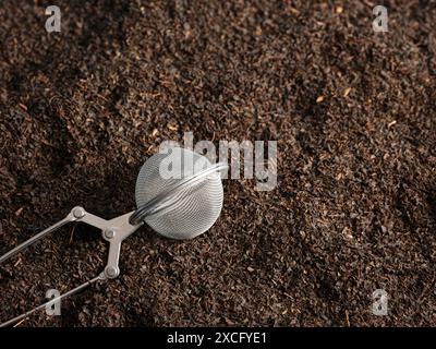 Der Tee-Infuser aus Metall liegt auf trockenen schwarzen Teeblättern und kann für eine perfekte Tasse Tee verwendet werden Stockfoto