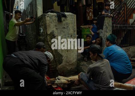 Zentrum Von Jakarta, Jakarta, Indonesien. Juni 2024. Muslime bereiten Opferziege zum Abschlachten während der Eid al-Adha-Feier in Jakarta vor. (Kreditbild: © Asyraf Rasid/ZUMA Press Wire) NUR REDAKTIONELLE VERWENDUNG! Nicht für kommerzielle ZWECKE! Stockfoto