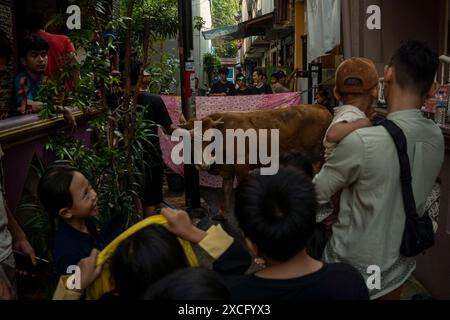 Zentrum Von Jakarta, Jakarta, Indonesien. Juni 2024. Die Menschen beobachten, wie muslime während der Eid al-Adha-Feier in Jakarta Opferkühe zum Schlachten vorbereiten. (Kreditbild: © Asyraf Rasid/ZUMA Press Wire) NUR REDAKTIONELLE VERWENDUNG! Nicht für kommerzielle ZWECKE! Stockfoto