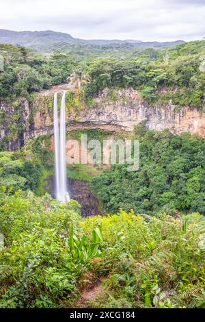 Der Wasserfall ist 80 Meter hoch und taucht in eine Schlucht ein. Blick auf die tropische Natur und die Landschaft des Chamarel-Doppelwasserfalls im Schwarzen Stockfoto