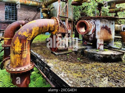 Architektur- und Industriedenkmal Hansa Kokerei, industrielle Natur, Lost Place, Dortmumd, Ruhrgebiet, Nordrhein-Westfalen, Deutschland Stockfoto