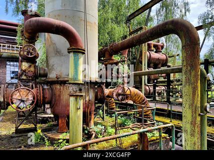 Architektur- und Industriedenkmal Hansa Kokerei, industrielle Natur, Lost Place, Dortmumd, Ruhrgebiet, Nordrhein-Westfalen, Deutschland Stockfoto