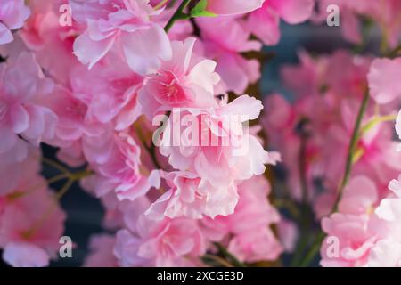 Im Bild sehen Sie eine detaillierte Ansicht mehrerer rosafarbener Blumen mit Fokus auf ihre zarten Blütenblätter und lebendigen Farben, die das Wesen der Botanik A einfangen Stockfoto