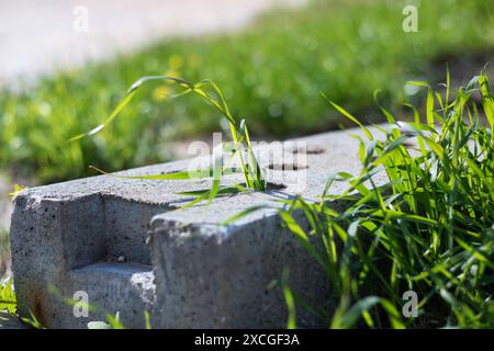 Ein mit Gras bedeckter Betonblock ist eine Verschmelzung von urbanen und natürlichen Elementen, die die Widerstandsfähigkeit und Anpassungsfähigkeit von Pflanzen in unterschiedlichen Umgebungen demonstrieren Stockfoto