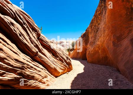 Wanderroute durch den Coyote Wash to Wire Pass Slot Canyon entlang des Wire Pass Trail, Vermilion Cliffs National Monument, Utah, USA Stockfoto