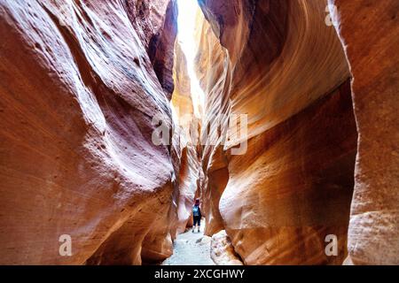 Wanderer im Wire Pass Slot Canyon, der nach Buckskin Gulch, Vermilion Cliffs National Monument, Utah, USA, führt Stockfoto