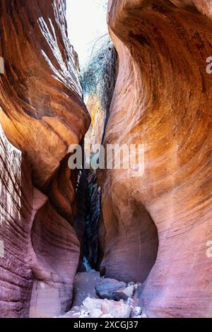 Im Inneren des Wire Pass Slot Canyon, Vermilion Cliffs National Monument, Utah, USA Stockfoto