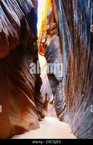 Im Inneren des Wire Pass Slot Canyon, Vermilion Cliffs National Monument, Utah, USA Stockfoto