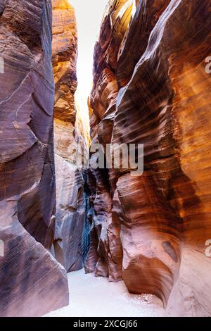 Im Inneren des Wire Pass Slot Canyon, Vermilion Cliffs National Monument, Utah, USA Stockfoto