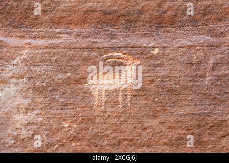 Buckskin Gulch Petroglyphen entlang des Wire Pass Trail, Vermilion Cliffs National Monument, Utah, USA Stockfoto