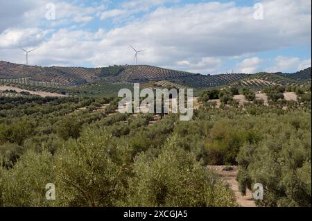 Malerischer Blick auf Windturbinen auf Hügeln mit Blick auf eine grüne ländliche Landschaft mit Feldern und Bäumen unter teilweise bewölktem Himmel. Stockfoto