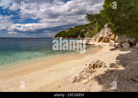 Strand Velika Plaza der Strand Velika Plaza in Omis, Kroatien, Europa Velika Plaza Strand in Omis, Kroatien, Europa *** Velika Plaza Beach Velika Plaza Stockfoto