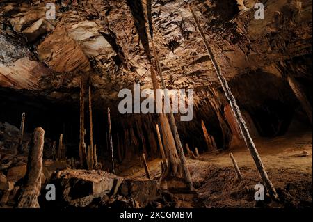 Die Riese Höhlen von Mulu Nationalpark, Sarawak, Borneo, Malaysia Stockfoto