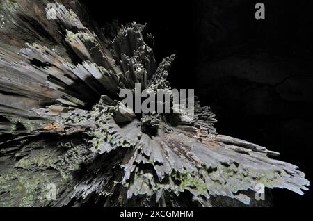 Die Riese Höhlen von Mulu Nationalpark, Sarawak, Borneo, Malaysia Stockfoto