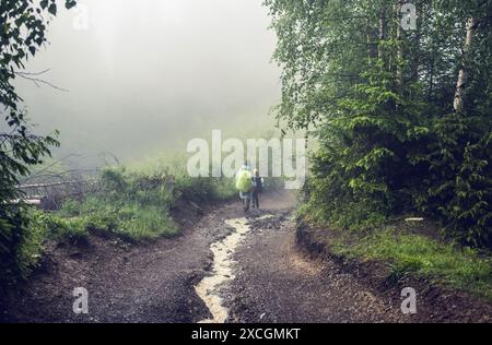 Zwei Wanderer auf einem Pfad durch den Wald in den Bergen an regnerischen Nebeltagen. Rückansicht von zwei Wanderern Mann und Teenager mit Rucksäcken, die auf Vorderhöhlen laufen Stockfoto