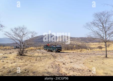 Ein überfülltes 20-Sitzer-Galopp-Safari-Fahrzeug voller Wildbeobachter im Ranthambore-Nationalpark, Rajasthan, Nordindien Stockfoto