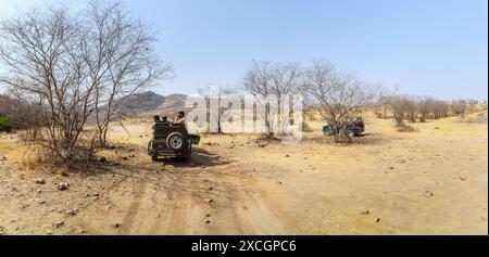 Zigeuner-Safari-Fahrzeuge mit Wildbeobachtern, die im Ranthambore-Nationalpark, Rajasthan, Nordindien, auf eine Tigersichtung warten Stockfoto