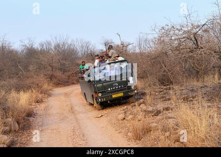 Ein 20-Sitzer-Galopp-Safari-Fahrzeug voller Wildbeobachter fährt am Rande einer Strecke, Ranthambore-Nationalpark, Rajasthan, Nordindien Stockfoto