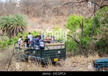 Besucher warten auf eine Sichtung von einem 20-Sitzer-Galopp-Safari-Fahrzeug voller Wildtiere, Ranthambore National Park, Rajasthan, Nordindien Stockfoto