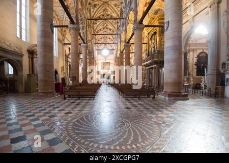 Bodenbelag mit dem Wappen des Dominikanerordens von Pietro da Porlezza aus dem 15. Jahrhundert im Querschiff der gotischen Basilika di Santa Anastasia (Bas Stockfoto