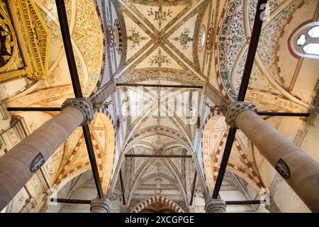 Gotische Basilika di Santa Anastasia (Basilika Saint Anastasia), die im XIII. Bis XV. Jahrhundert im historischen Zentrum von Verona, Provinz Verona, Veneto, IT erbaut wurde Stockfoto