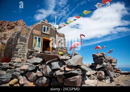 Rosafarbene Flamingos und buddhistische Gebetsfahnen von Kletterranger im Camp Schurman am Mount Rainier, Mount Rainier National Park, Washington State, USA Stockfoto