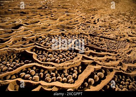 Höhlenperlen in Hang Son Doong, Vietnam. Stockfoto