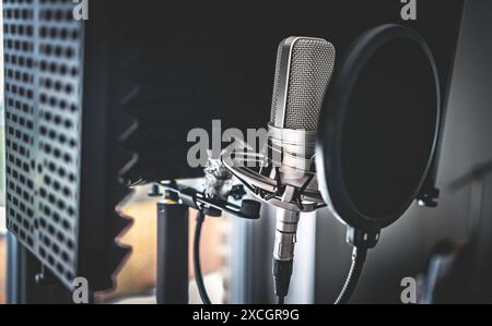 Professionelles Mikrofon im Aufnahmestudio für Musikerstellung aus nächster Nähe. Mikrofon für Rock- und Pop-Gesang Stockfoto