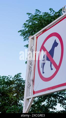 Hunde sind im Park nicht erlaubt. Stockfoto