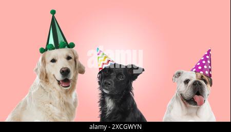 Viele verschiedene Tiere mit Partyhüten auf rosa Hintergrund, Bannerdesign Stockfoto