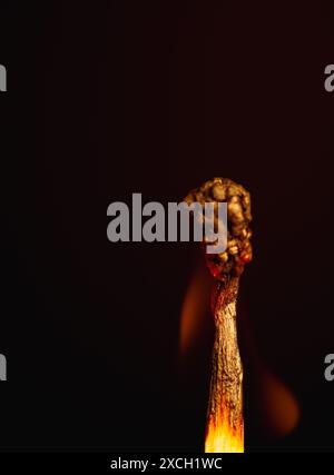 Makroaufnahme eines verbrannten Streichholzstifts vor schwarzem Hintergrund mit kleiner Flamme. Stockfoto