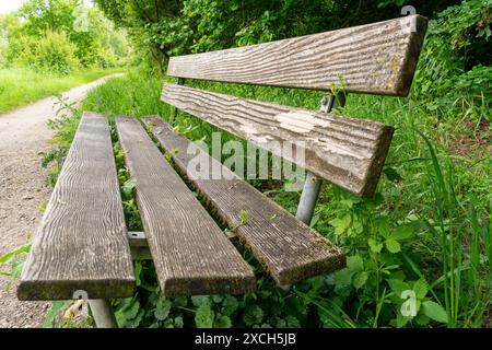 Alte verwitterte Bank, teilweise bewachsen, auf einem Weg durch den Wald. Seitenansicht. Stockfoto