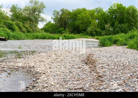 Fluss mit niedrigem Wasser. Blick von einer Bank mit Kieselsteinen und altem Treibholz. Szene mit vielen grünen Bäumen und Wasserpflanzen am Flussufer. Stockfoto