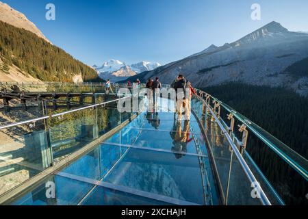 Columbia Icefield Skywalk. Touristen stehen auf der Aussichtsplattform mit Glasboden. Schneebedeckte Rocky Mountains im Hintergrund. Stockfoto