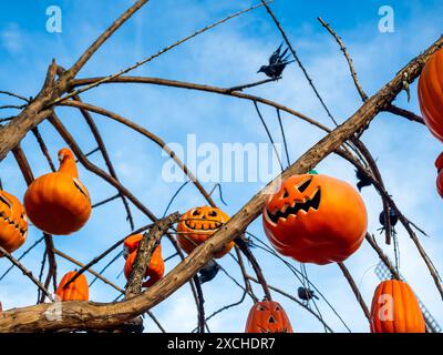 Viele Halloween Jack o Laterne Kürbis mit einem gruseligen Lächeln Gesicht, das auf dem Baum ohne Blatt verziert ist. Die orange Farbe des Kürbiskopfes. Frohes Halloween Stockfoto