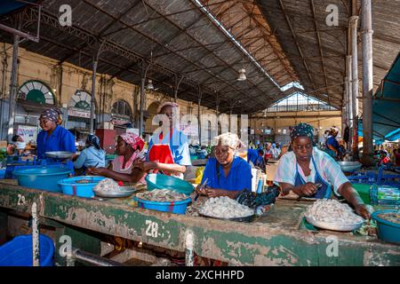 Mosambik, Maputo, Maputo Cidade, Mercado Central, Central Market, Muscheln und Fischerei verkaufen Stockfoto