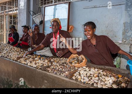 Mosambik, Maputo, Maputo Cidade, Mercado Central, Central Market, Muscheln und Fischerei verkaufen Stockfoto