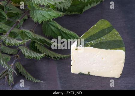 Cornish Yarg Käse wird traditionell in Brennnesselblätter gewickelt. Stockfoto