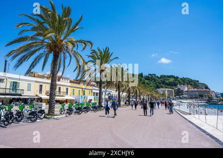 Elektrofahrräder können an der von Palmen gesäumten Promenade Quai des Etats-Unis an der Küste von Nizza, französische Riviera, Côte d'Azur, Provence, Frankreich gemietet werden Stockfoto