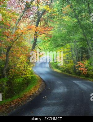 Im Herbst in der Nähe von Camden Maine. Stockfoto