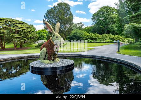 Der New York Botanical Garden in der Bronx ist ein berühmtes lebendiges Museum, Bildungseinrichtung und kulturelle Attraktion, USA 2024 Stockfoto