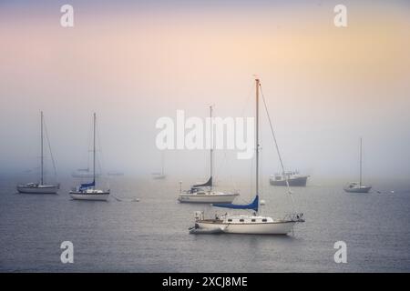 Segelboote im Nebel mit Sonnenaufgang. Penobscott Bay. Rockland, Maine Stockfoto