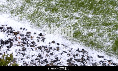 Rasen- und Steingarten bedeckt mit Hail After Storm Stockfoto